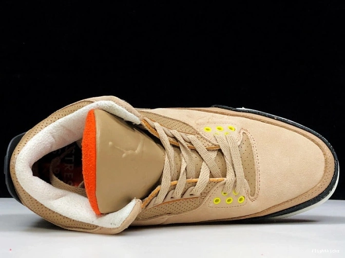 JTH Beige Air Bio Jordan AV6683-200 3 0826